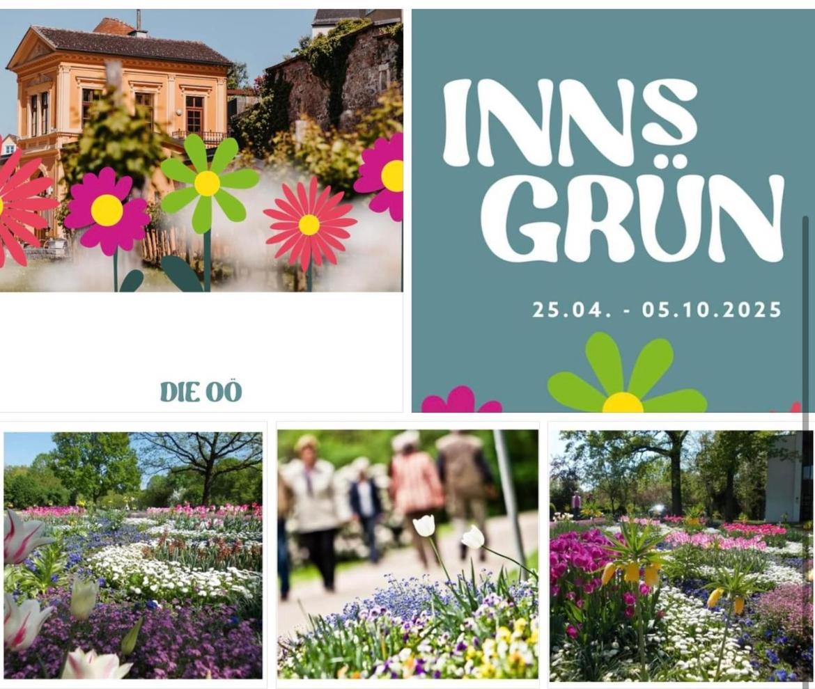 Fichtenwald-ihr Boutique I Glueck's 3*